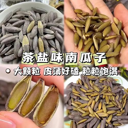 工廠直發(fā)大顆粒美人甲南瓜子 茶香四溢的年貨新寵，解鎖堅(jiān)果炒貨批發(fā)的財(cái)富密碼